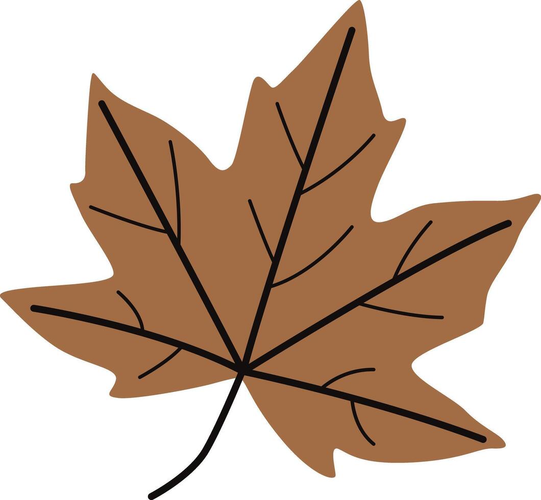Icon Drawing of an Autumn Maple Leaf vector