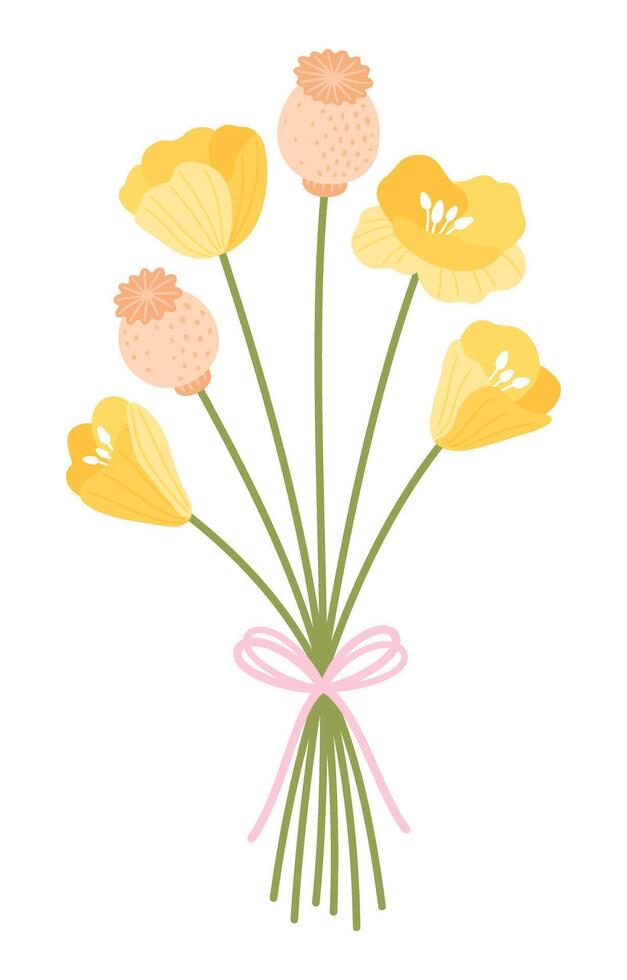 Bouquet of yellow wild poppies blossoming and buds. Wildflowers tied with ribbon. Gentle flowers for design projects vector