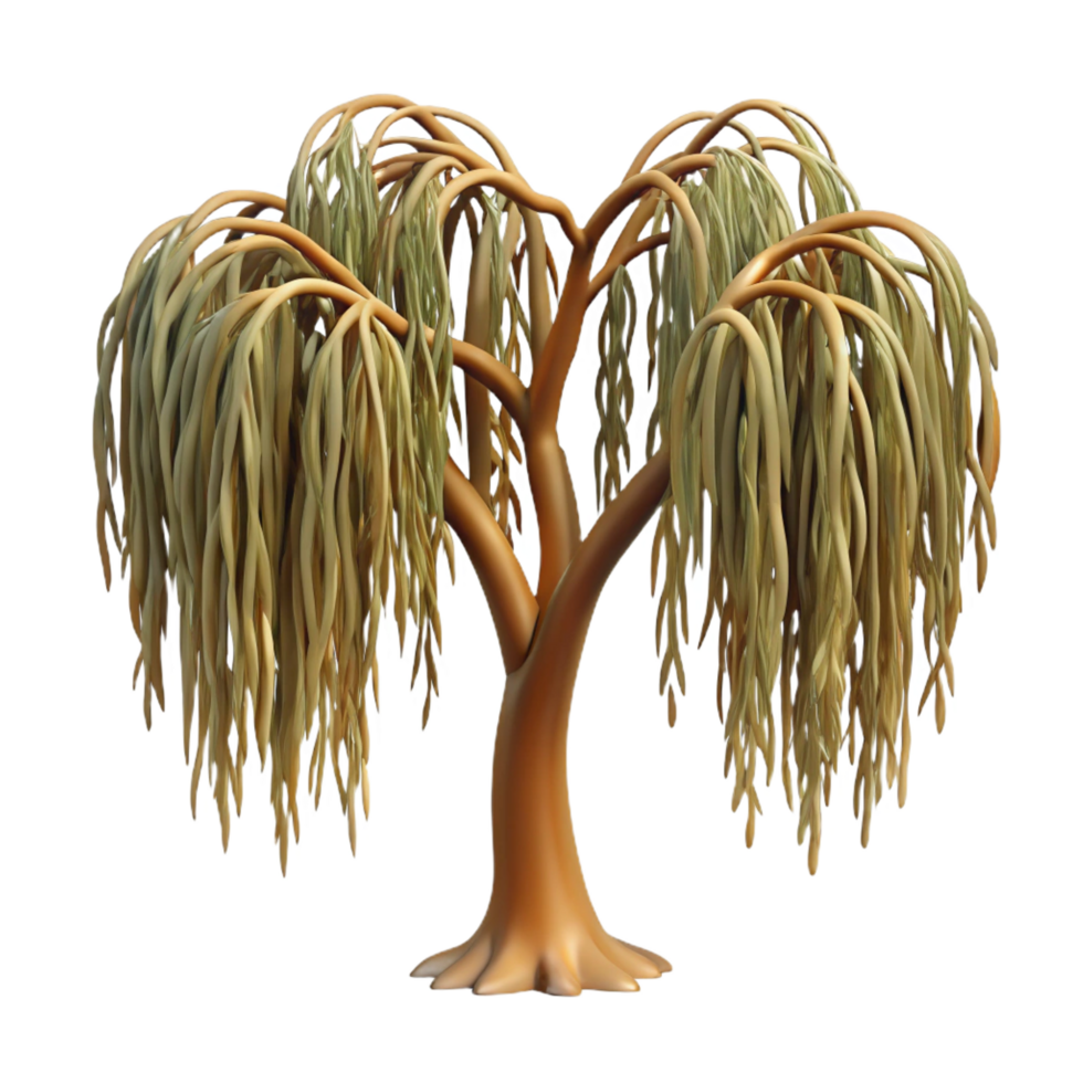 Weeping Willow 3D Render png