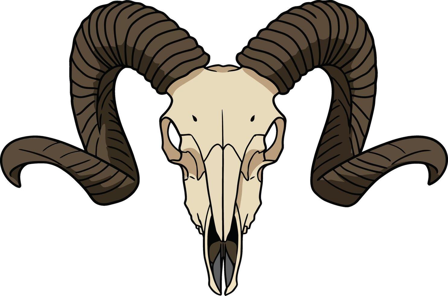 Detailed illustration of a ram skull with large, curved horns in a minimalistic style, showcasing natural textures and features in art vector