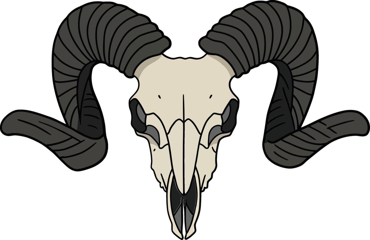 A detailed ram skull with curved horns in flat design style, showcasing intricate features and a minimalist aesthetic in art vector