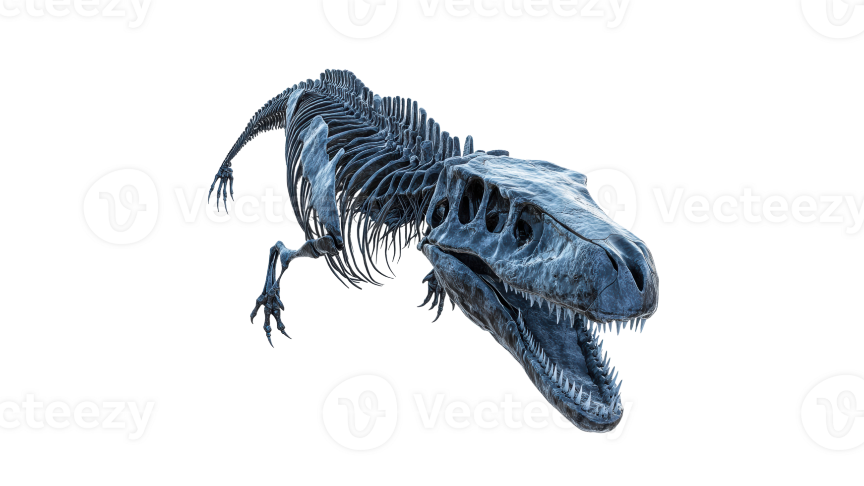 Dinosaur skeleton display in a museum setting png