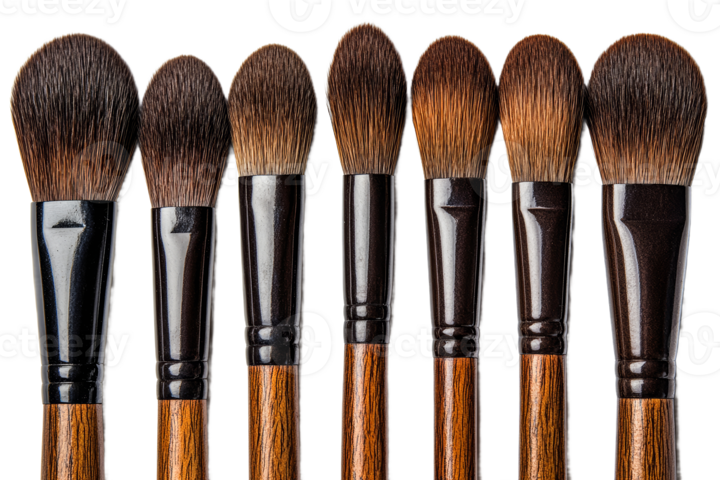 Variety of makeup brushes lined up for application png