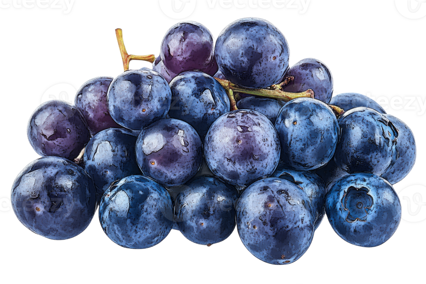Fresh blueberries stacked for a healthy snack png