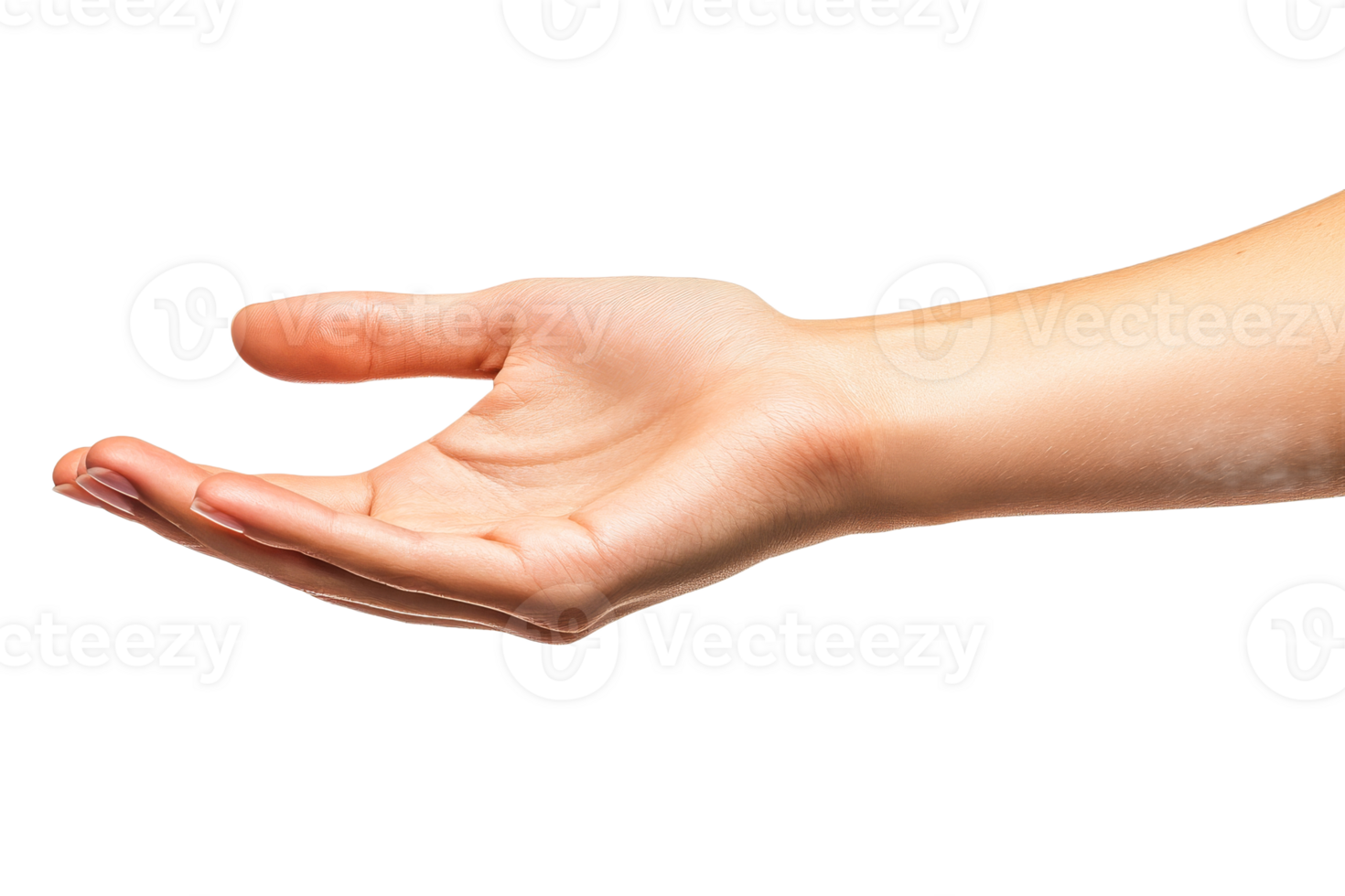 Open hand reaching out in a calm gesture png