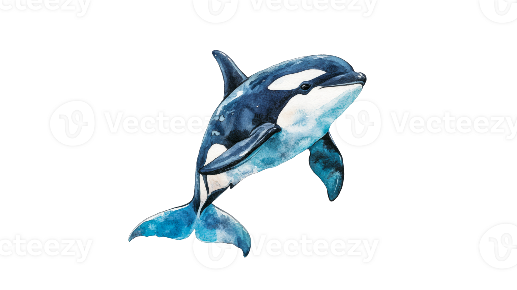 Dolphin gracefully jumps above ocean surface png