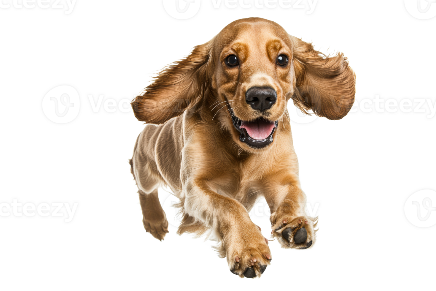 Happy dog joyfully running in a bright setting png
