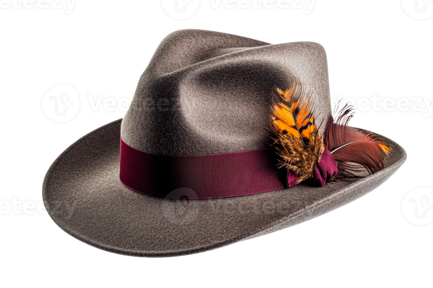 Colorful feathered fedora for parties png