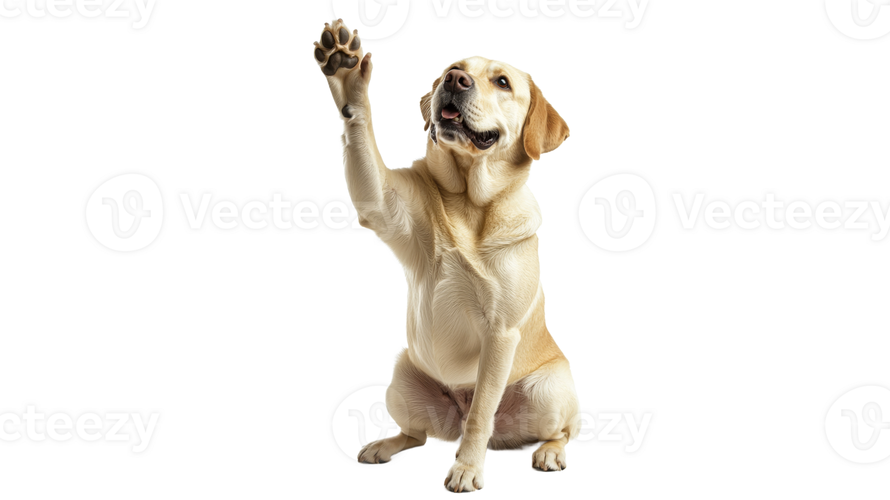 Happy dog waving its paw in a friendly greeting png