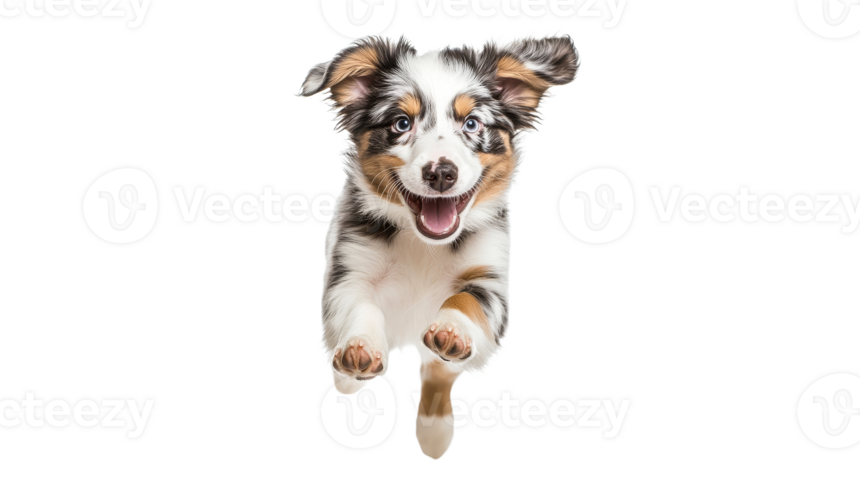 Happy puppy jumps playfully indoors with joy png