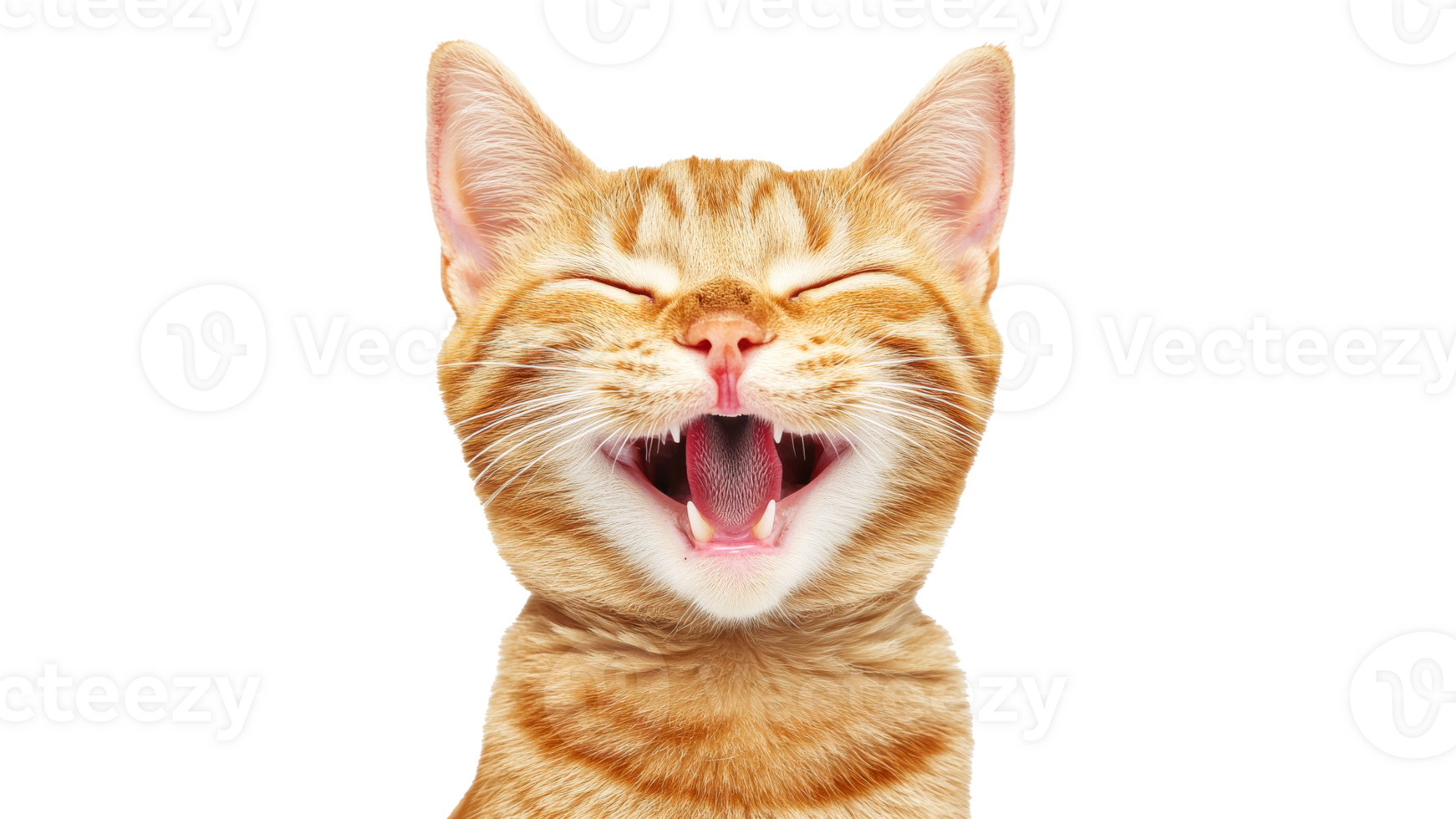 Happy ginger cat showing joyful expression png