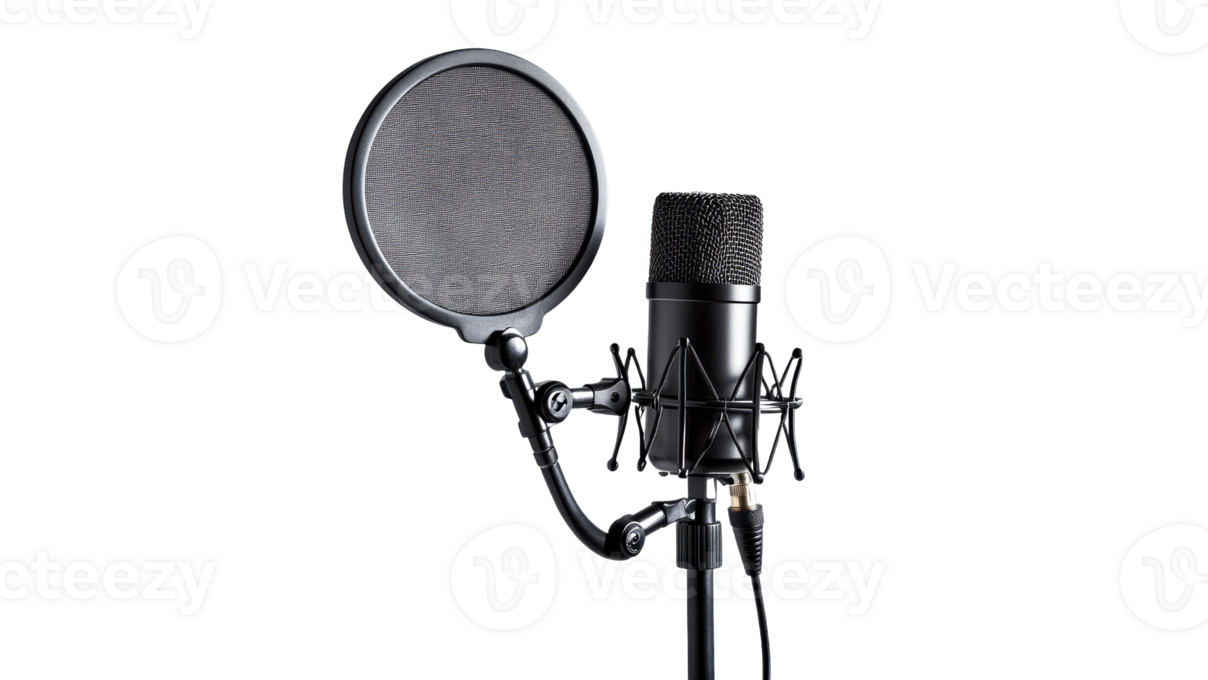 Pro recording setup mic pop filter png