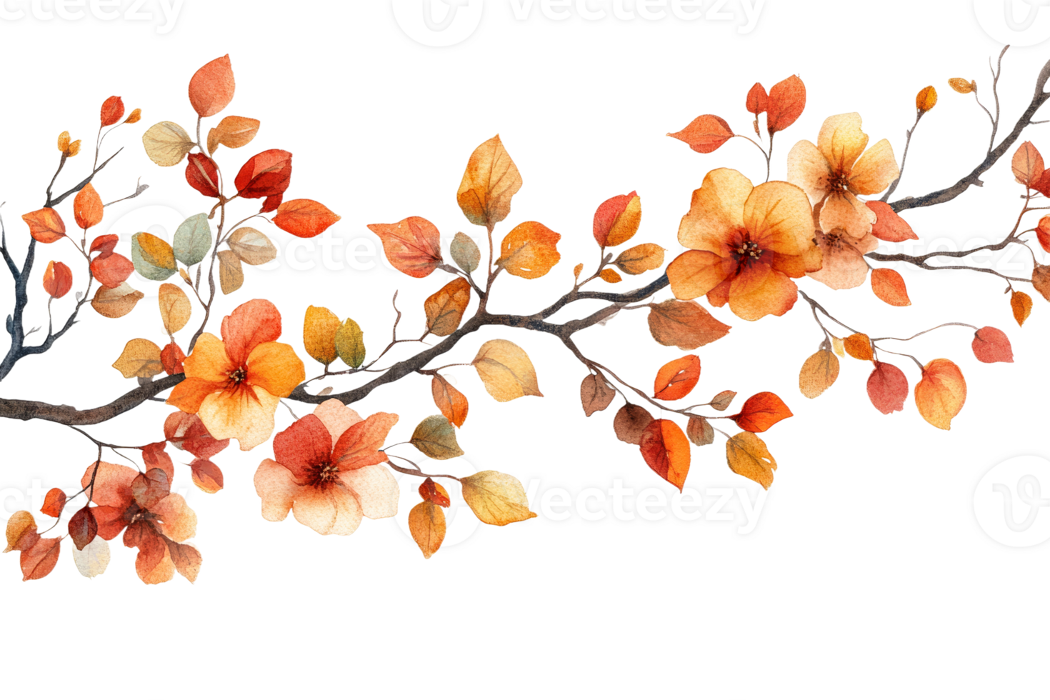 Colorful autumn branches with flowers and leaves png