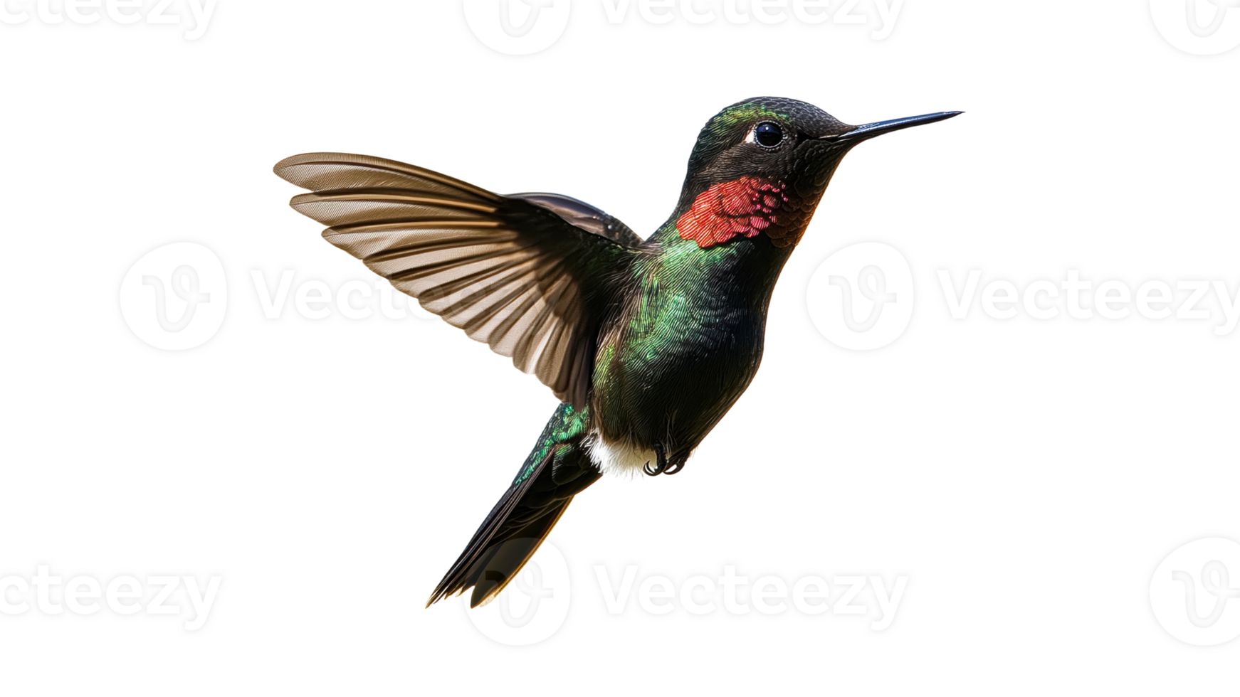 Colorful hummingbird in mid flight near flowers png