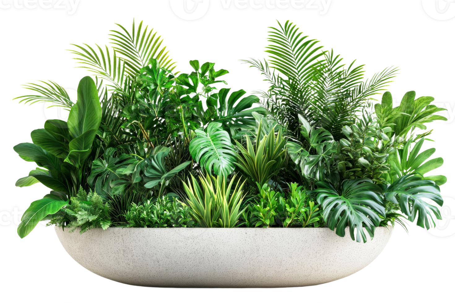 Indoor garden display with various lush plants png
