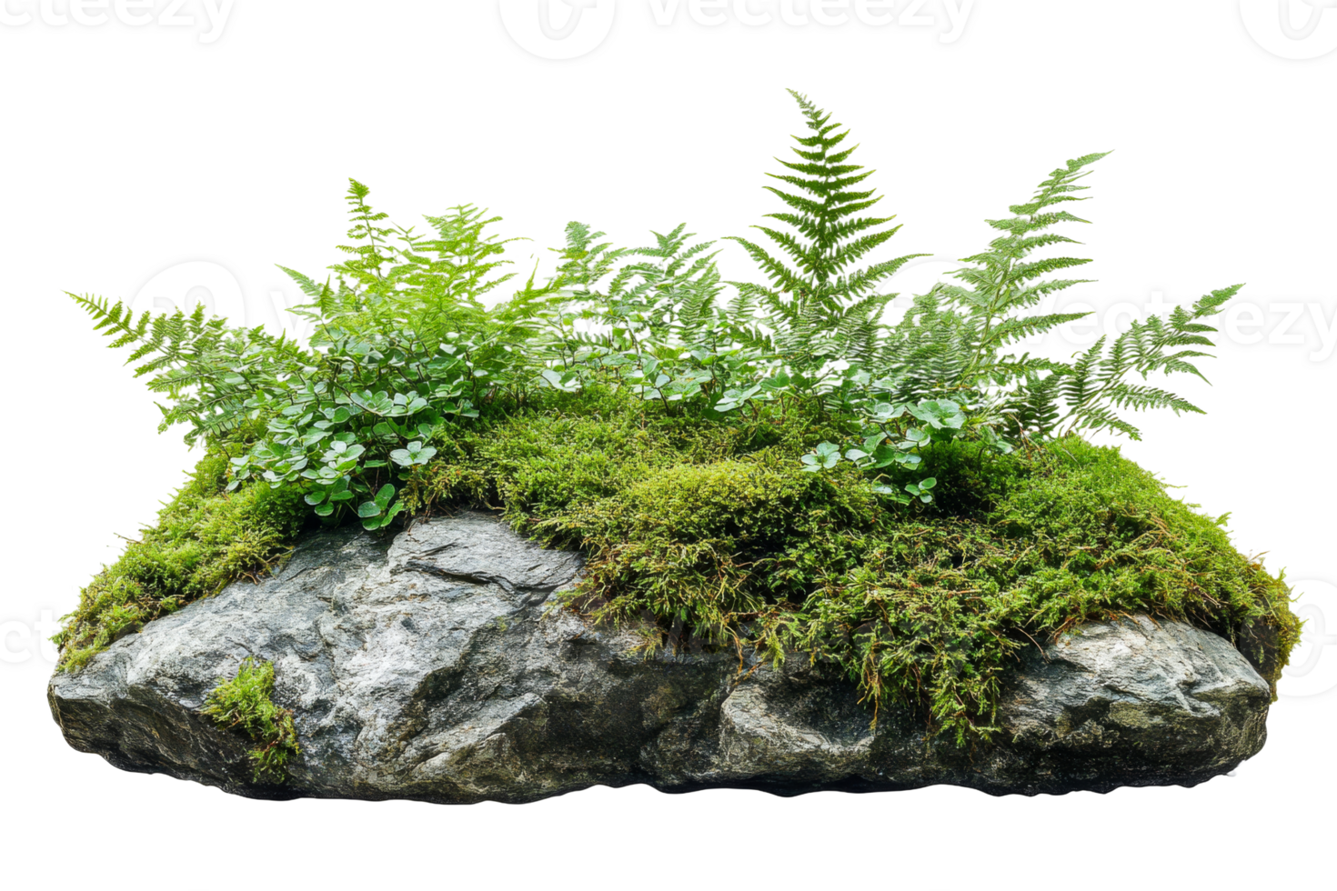 Lush greenery atop a large rock in serene nature png