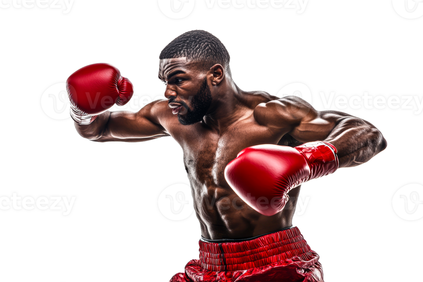 Boxer practicing technique in training session png
