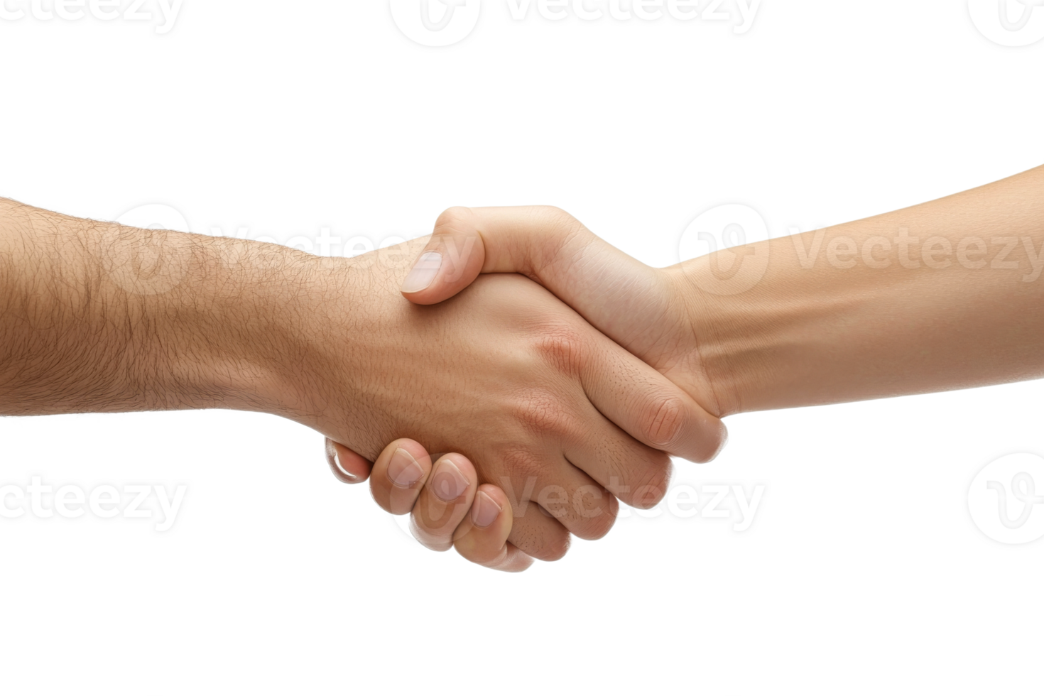 Two hands shake in agreement during a meeting png