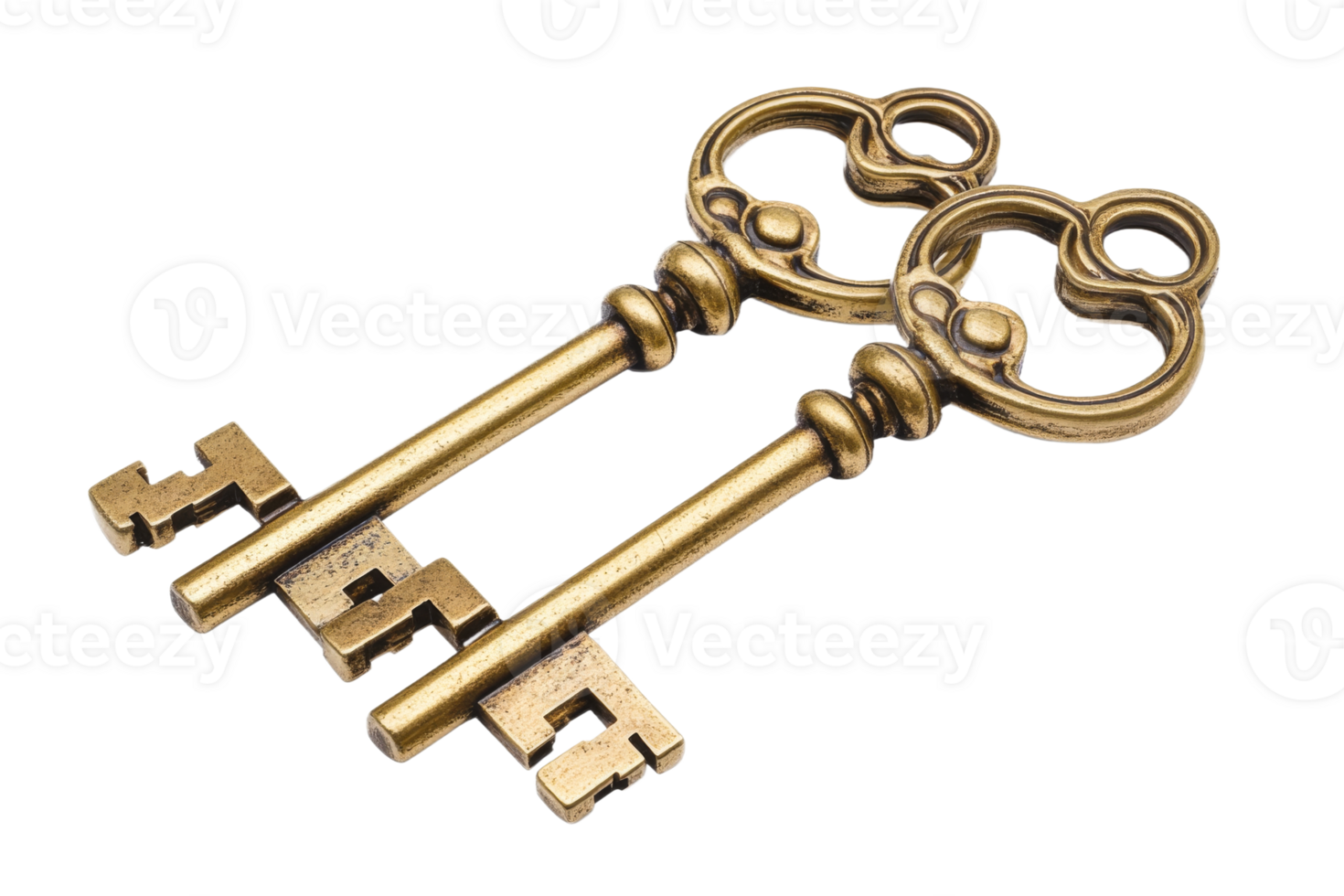 Ornate vintage brass keys on white png