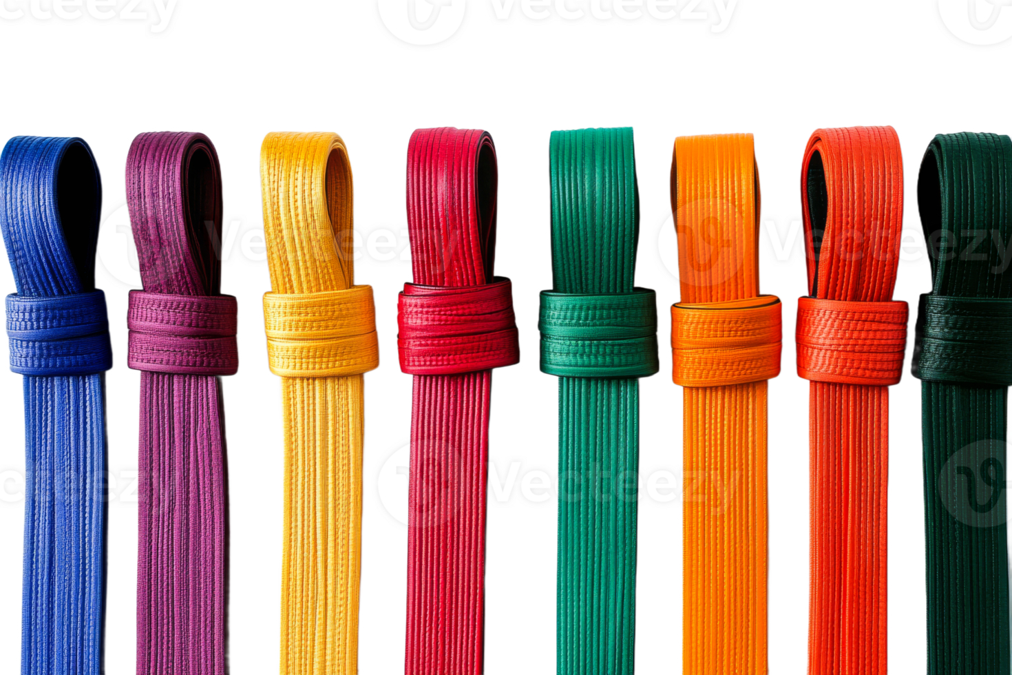 Colorful martial arts belts arranged in a line png