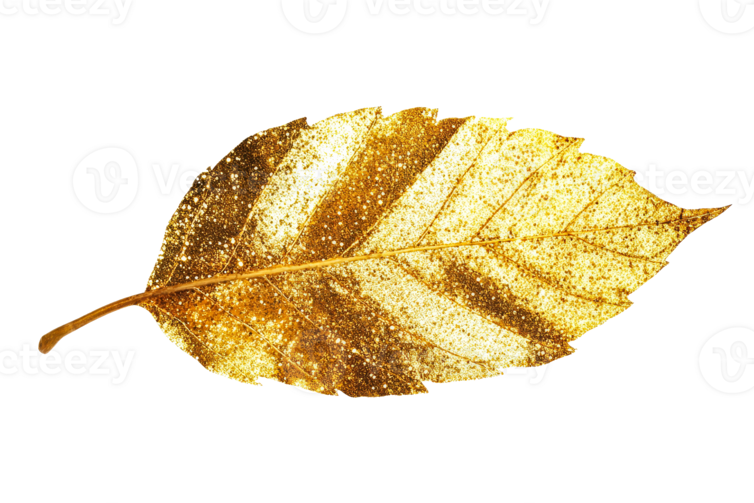 Golden leaf highlights natures beauty png