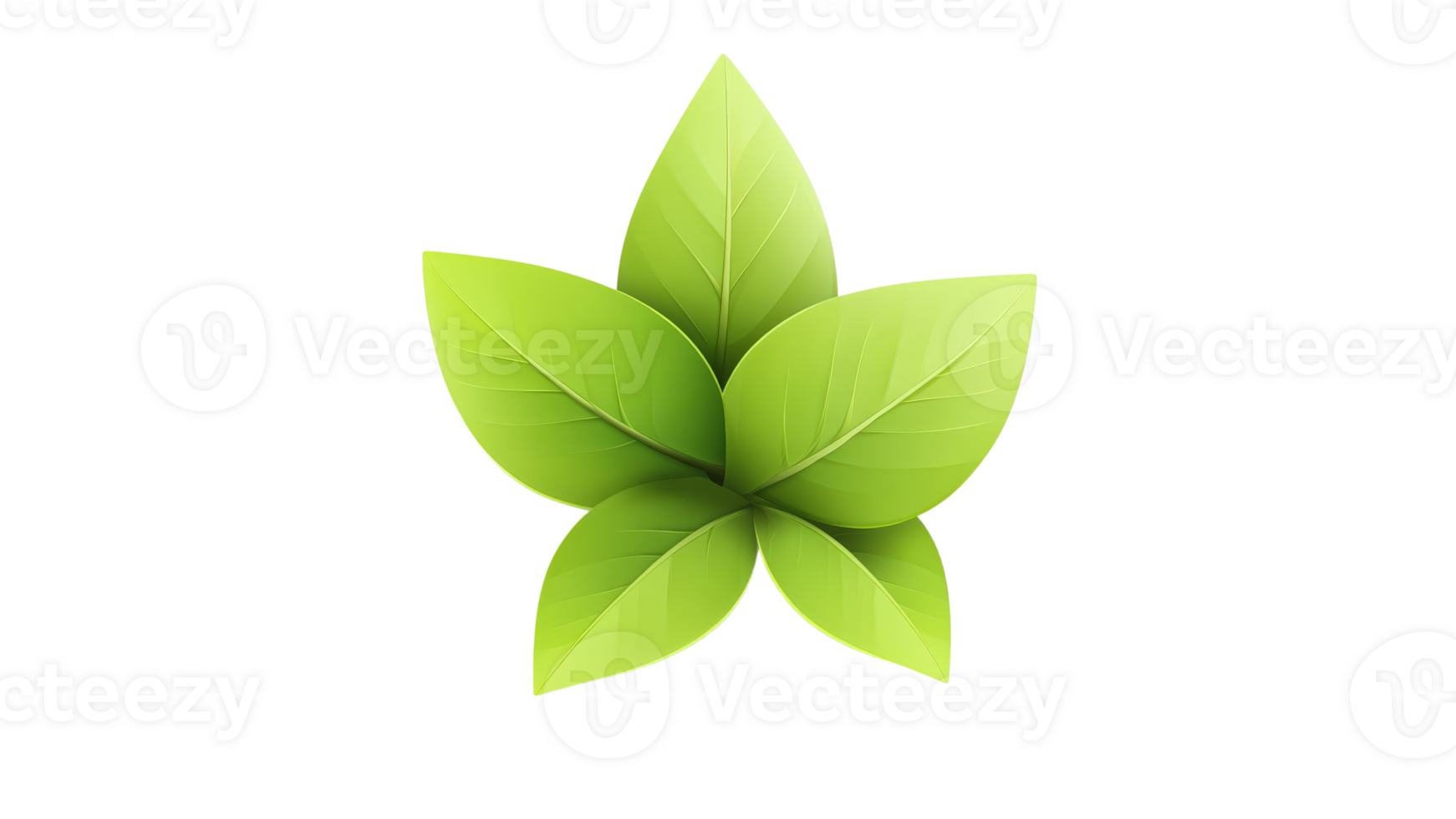 Green leaves arranged in a circular pattern png