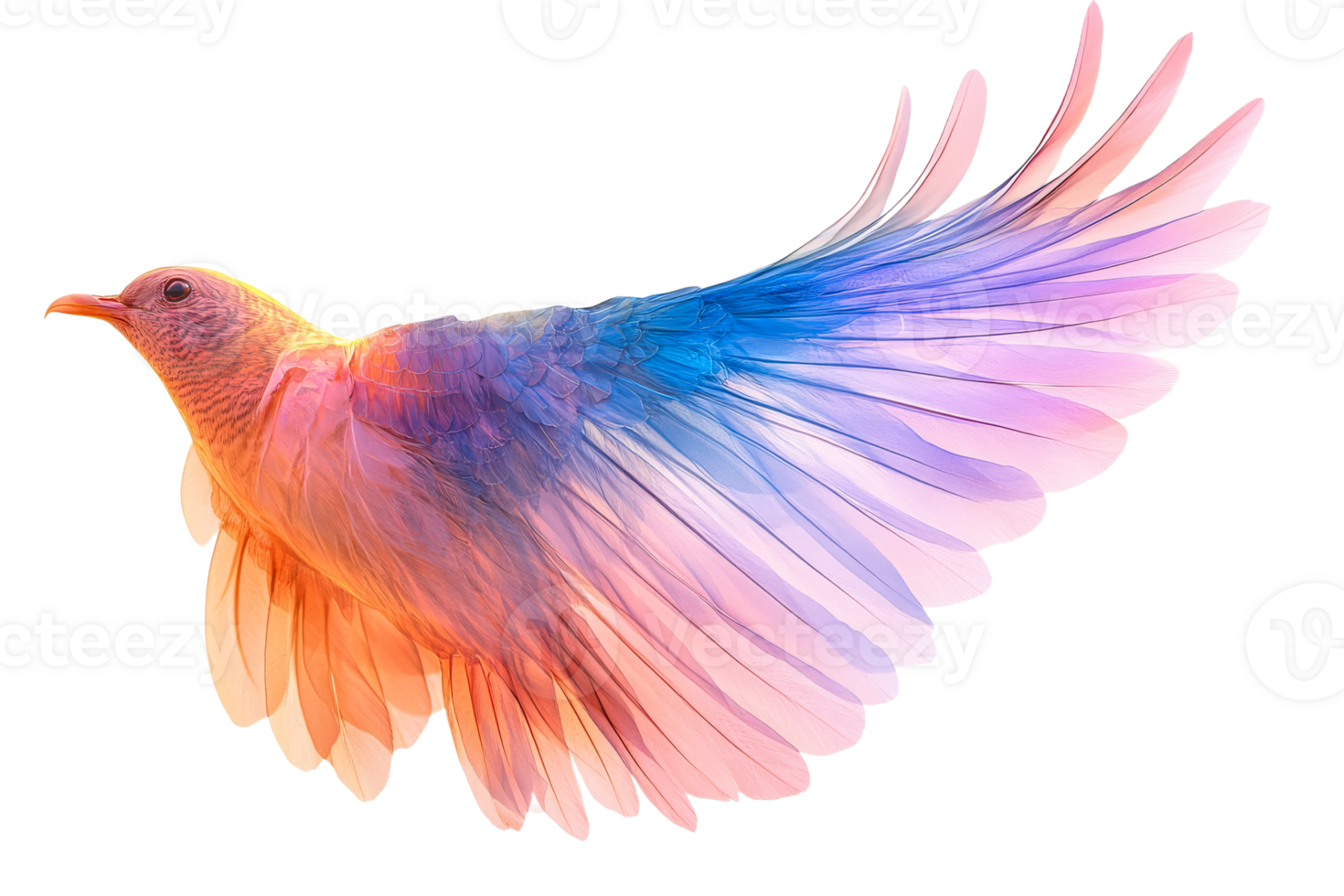 Vibrant bird flying with colorful feathers png