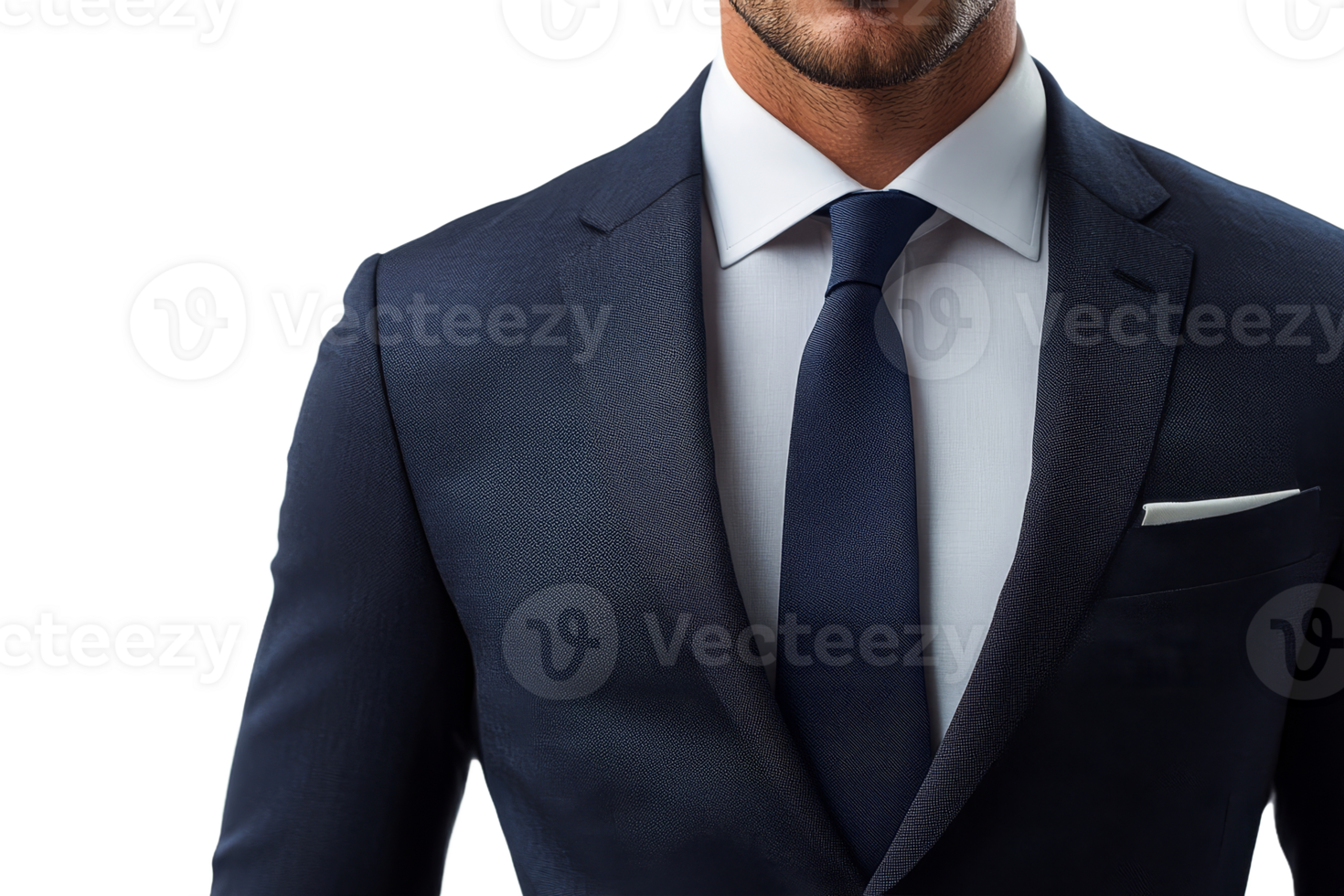 Elegant attire for eventsmeetings png