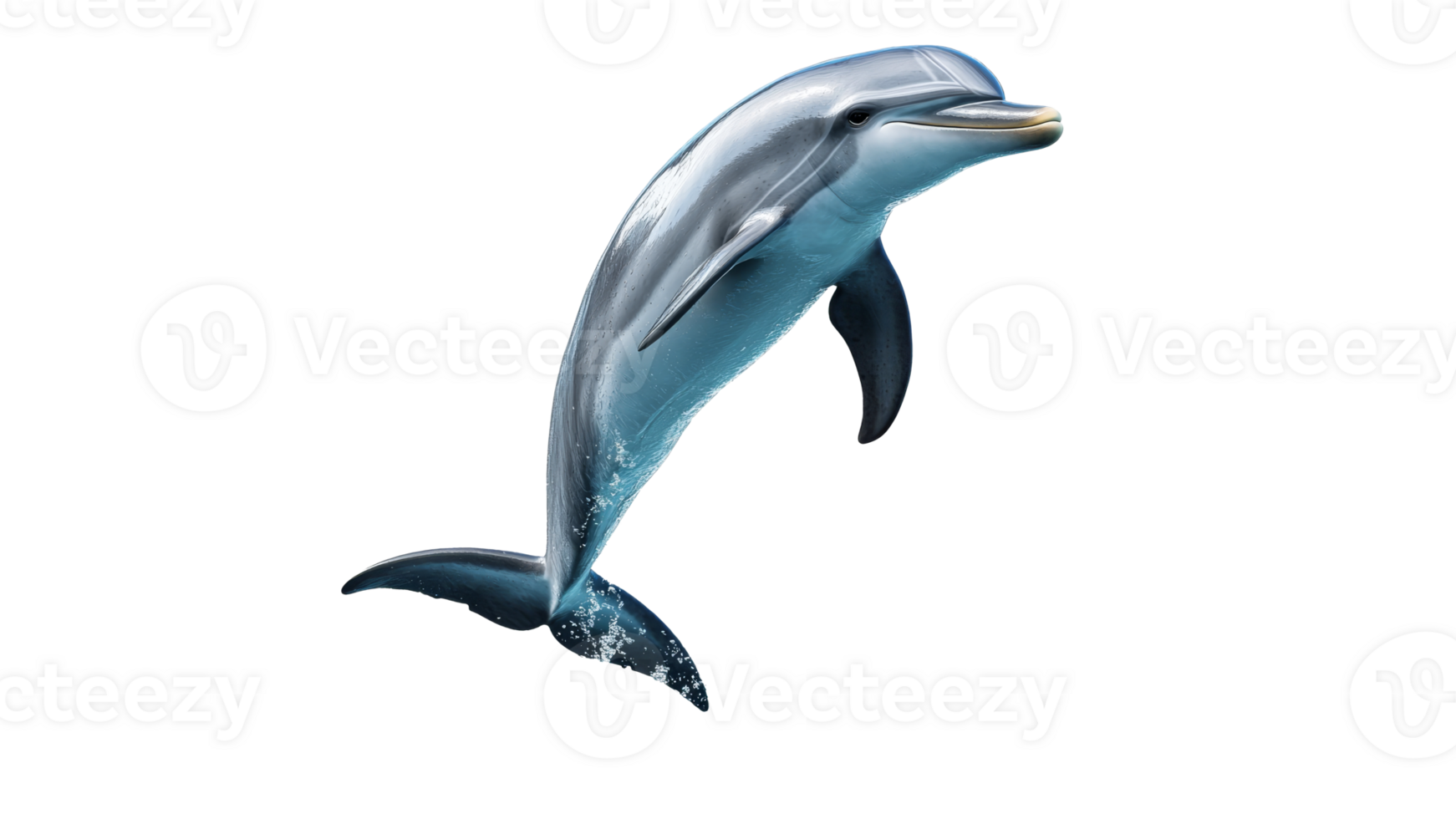 Dolphin leaps over bright ocean waves png