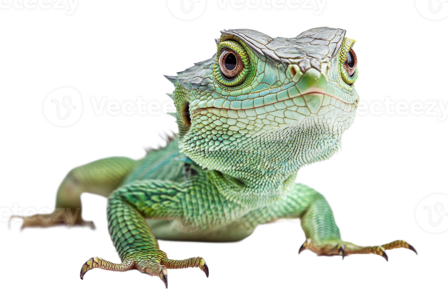 Detailed look at a vibrant green lizard png