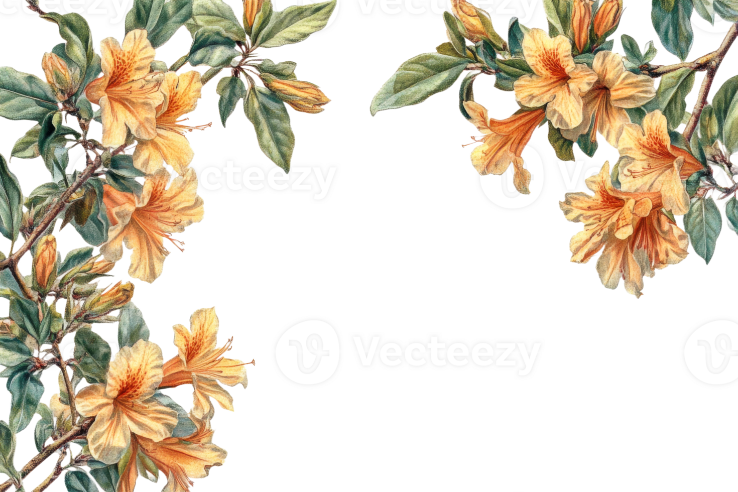 Sunny yellow flowers with green leaves png