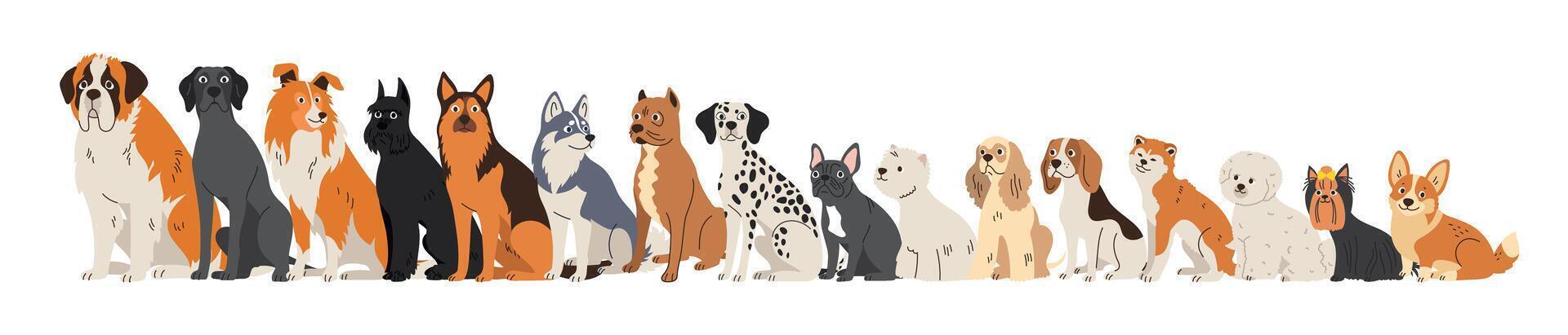 Row of different dog breeds. Pets sitting. Small, medium and large breeds. Flat collection of adult animals vector