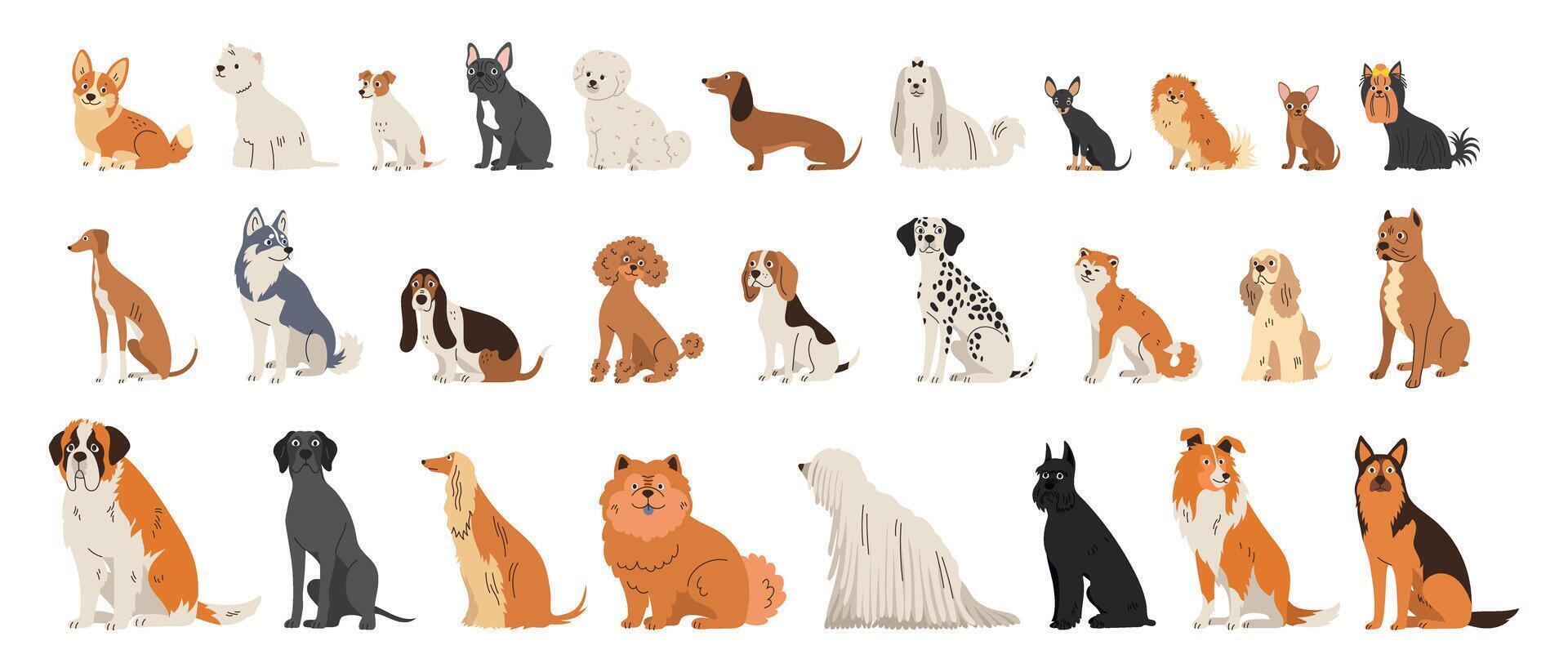Big set of different dog breeds. Pets sitting. Small, medium and large breeds. Flat collection of adult animals vector