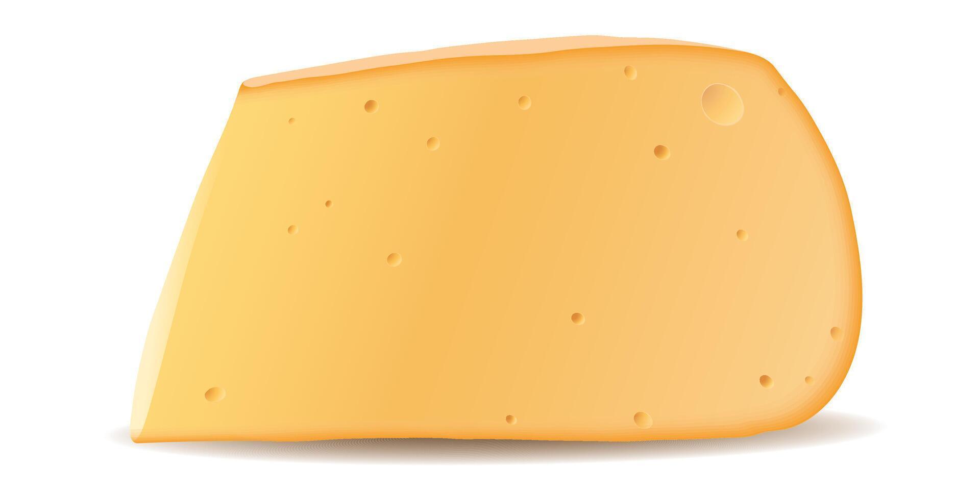 A piece of cheddar cheese isolated on white background graphic illustration. vector