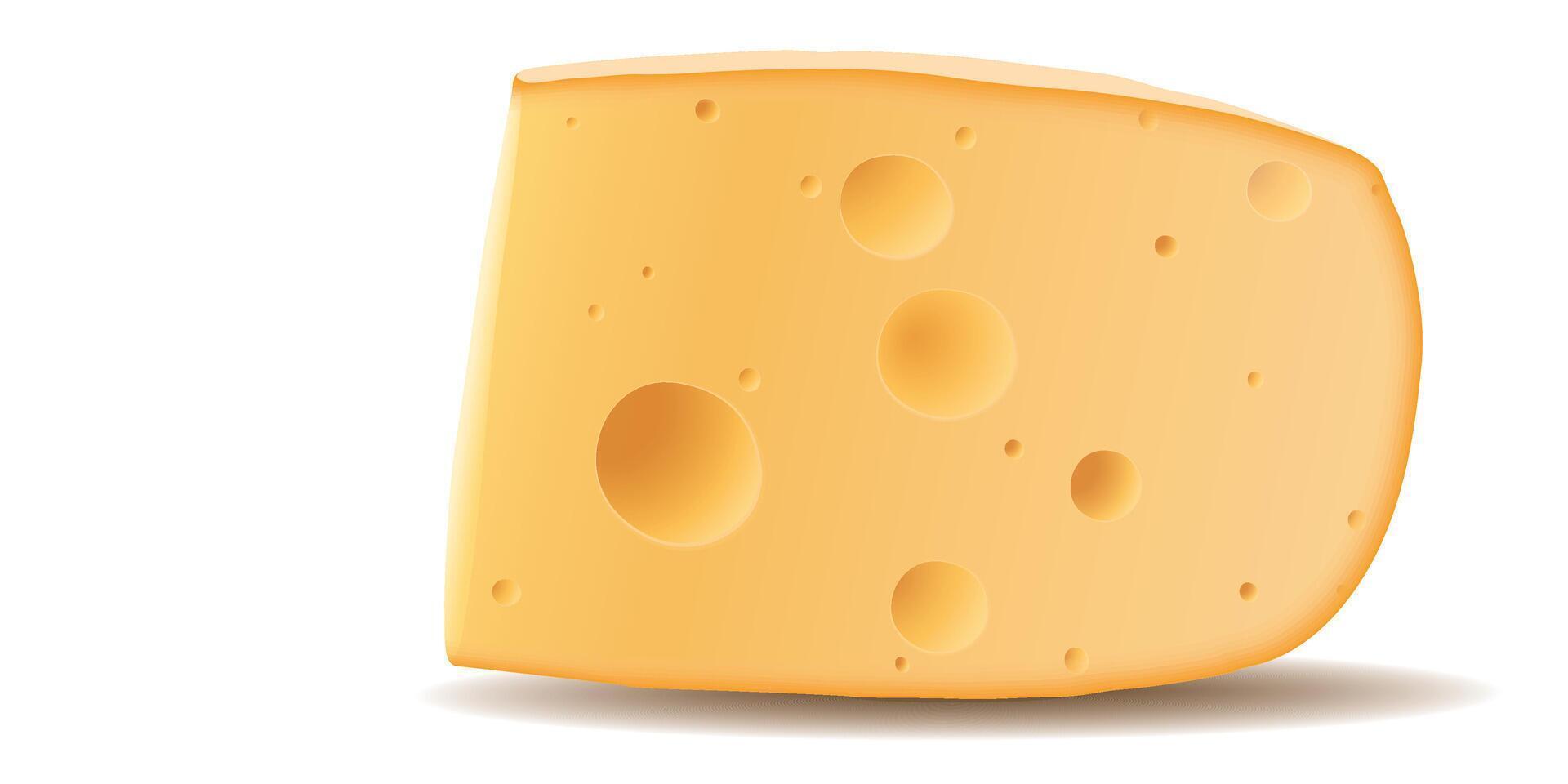 A piece of swiss cheese on white background graphic illustration have blank space. vector