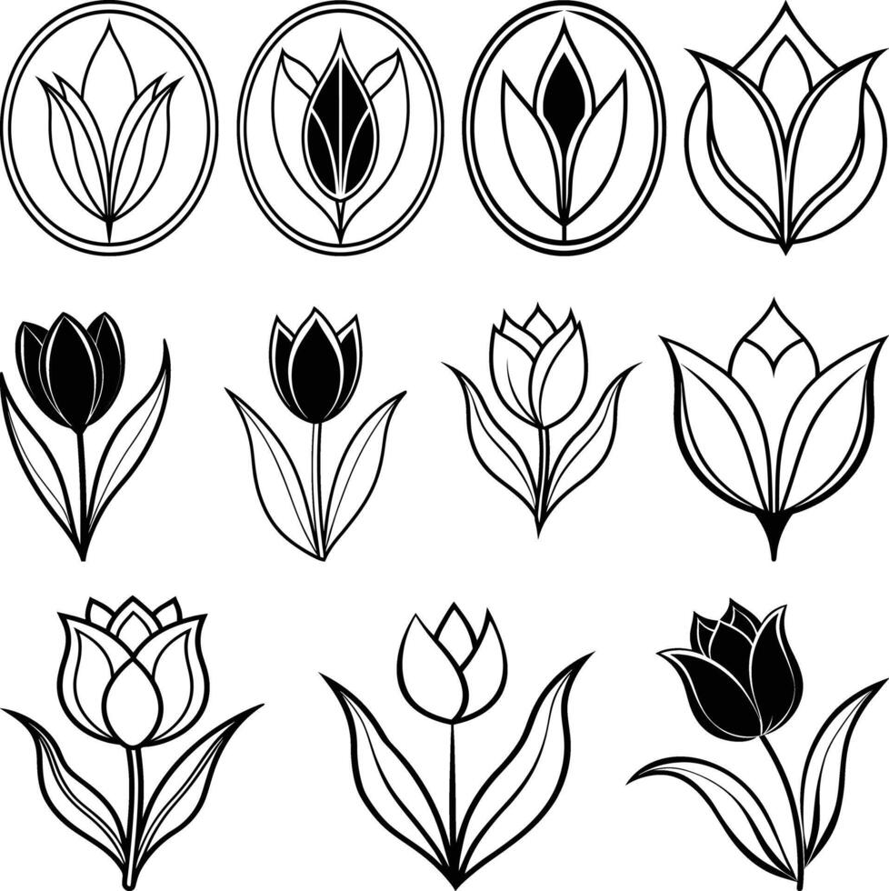 Tulip flower silhouette outline set vector