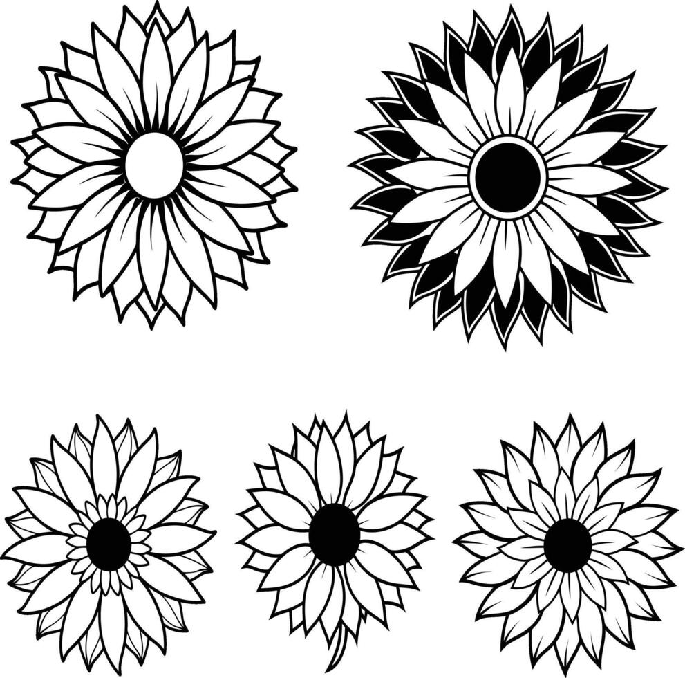 Sunflower silhouette outline set vector