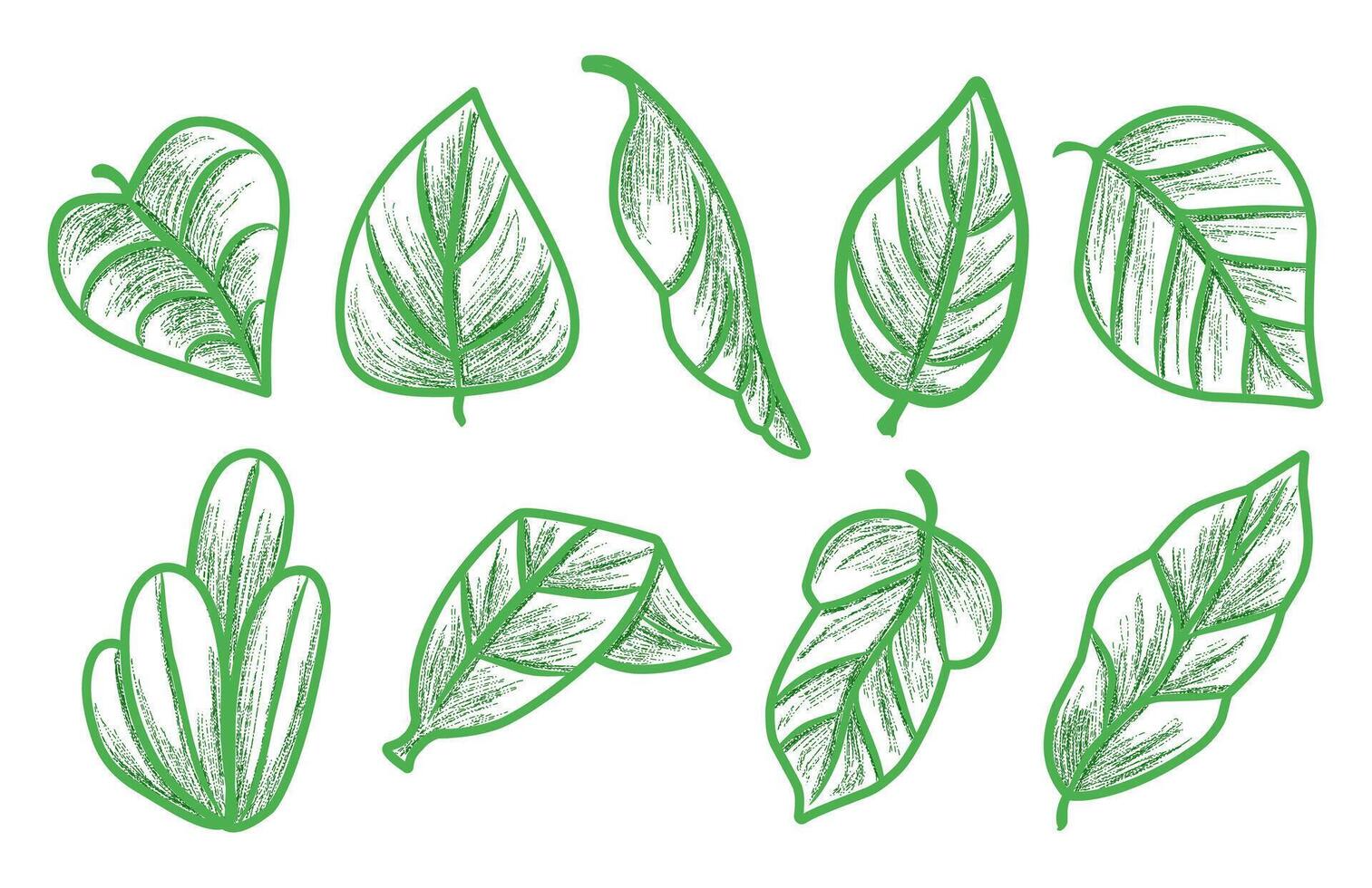 Hand-drawn collection of green leaves, variety of beautifully illustrated green leaves, perfect for nature-themed designs or decor. vector