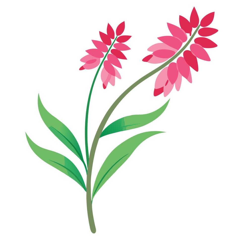 A pink flower with green leaves on a white background vector