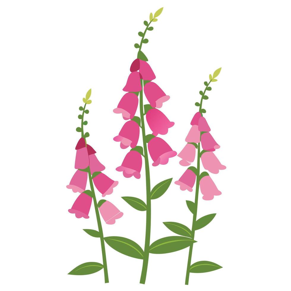 Pink flowers on a white background vector
