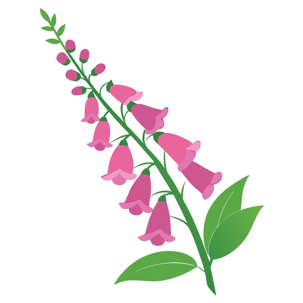 A pink flower with green leaves on a white background vector