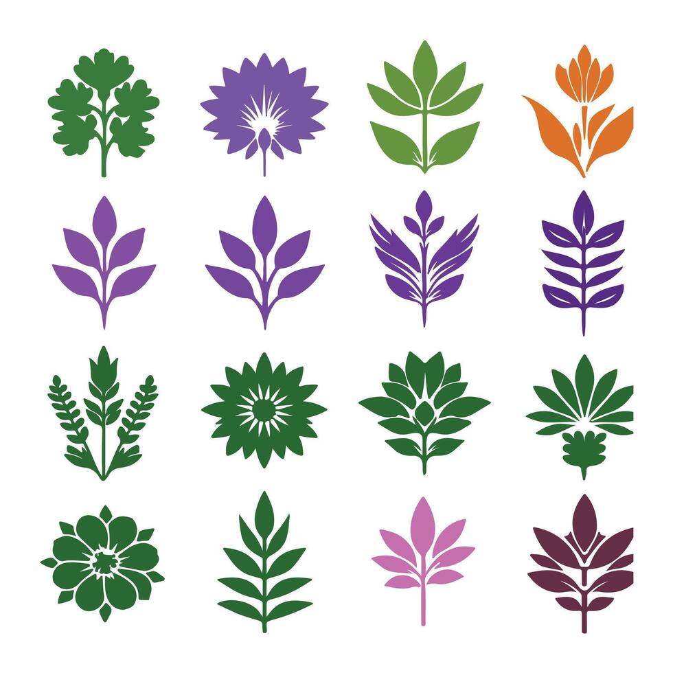 Various leaves and flowers vector