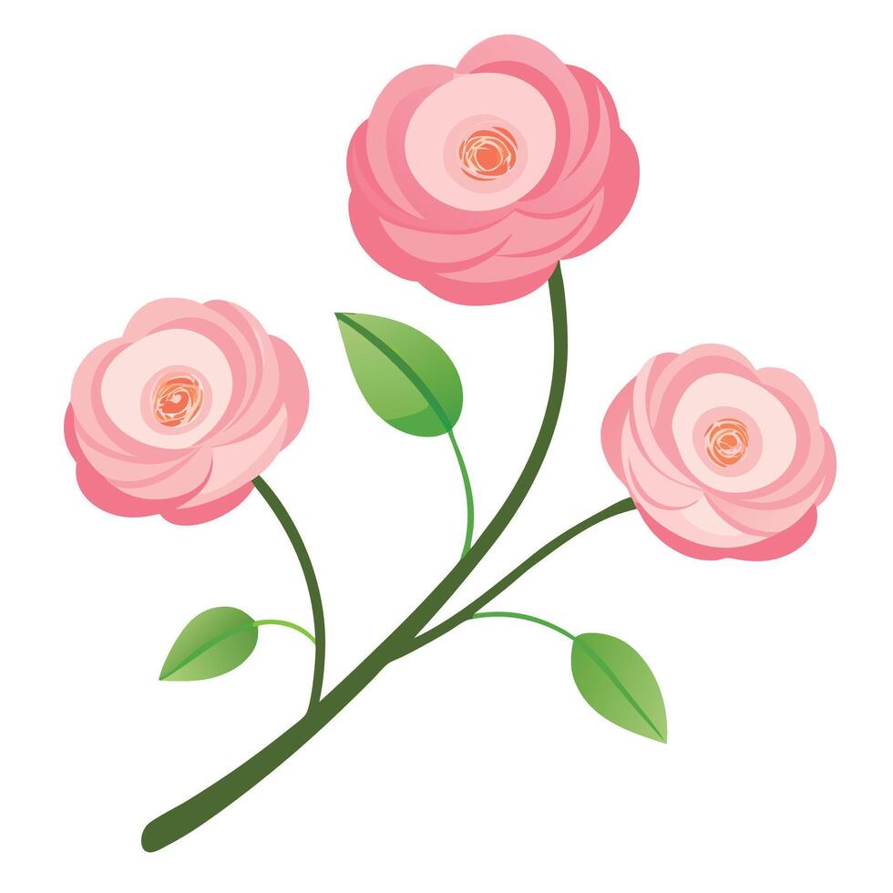 Pink rose flowers on a white background vector