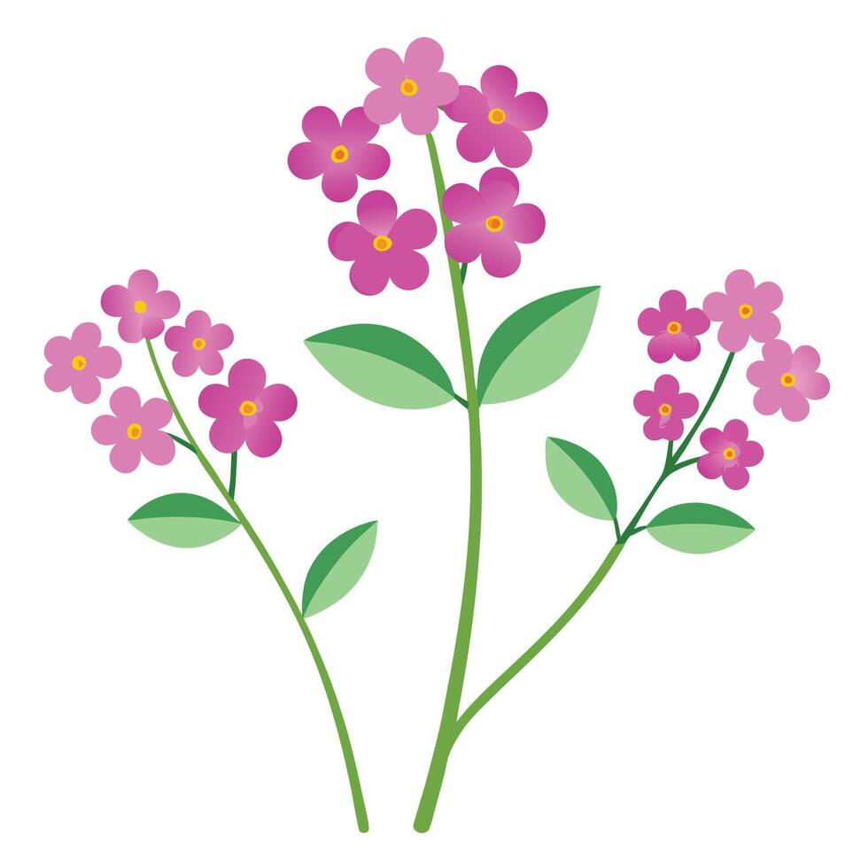 A bunch of purple flowers on a white background vector