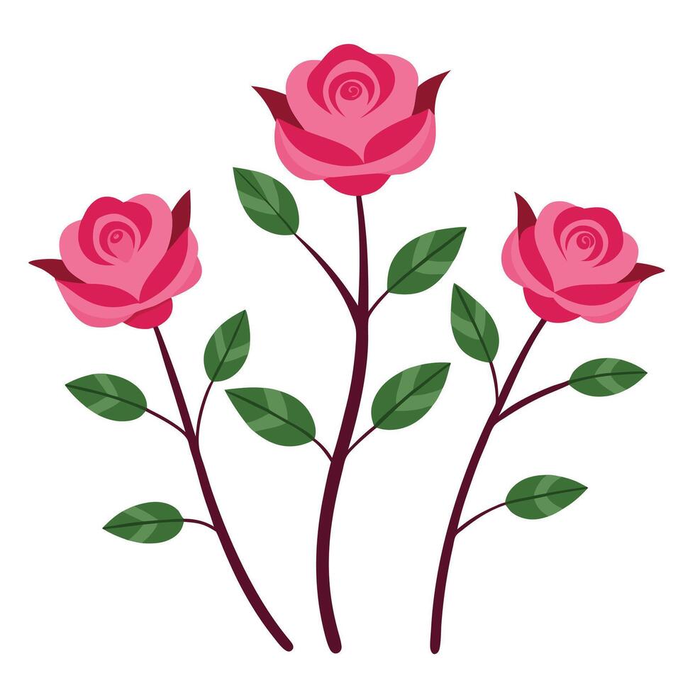 Three pink roses with leaves on a white background vector