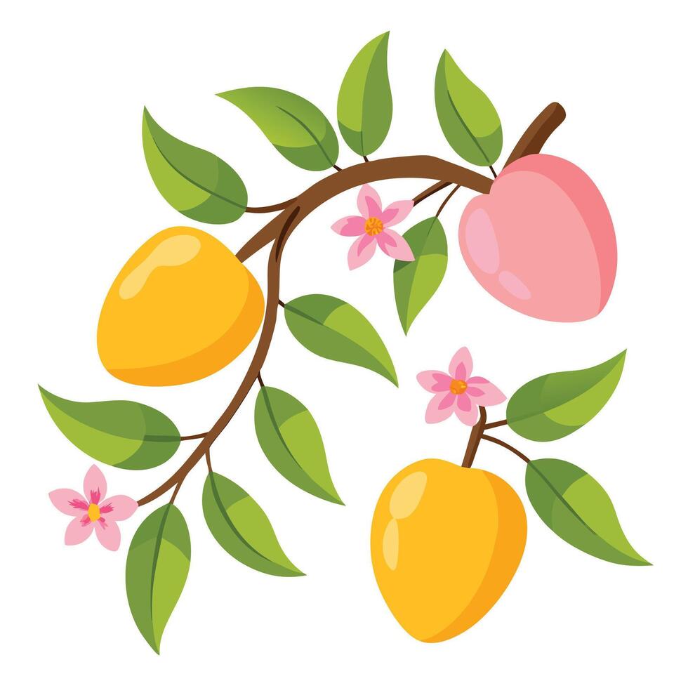 illustration of a peach tree with flowers vector