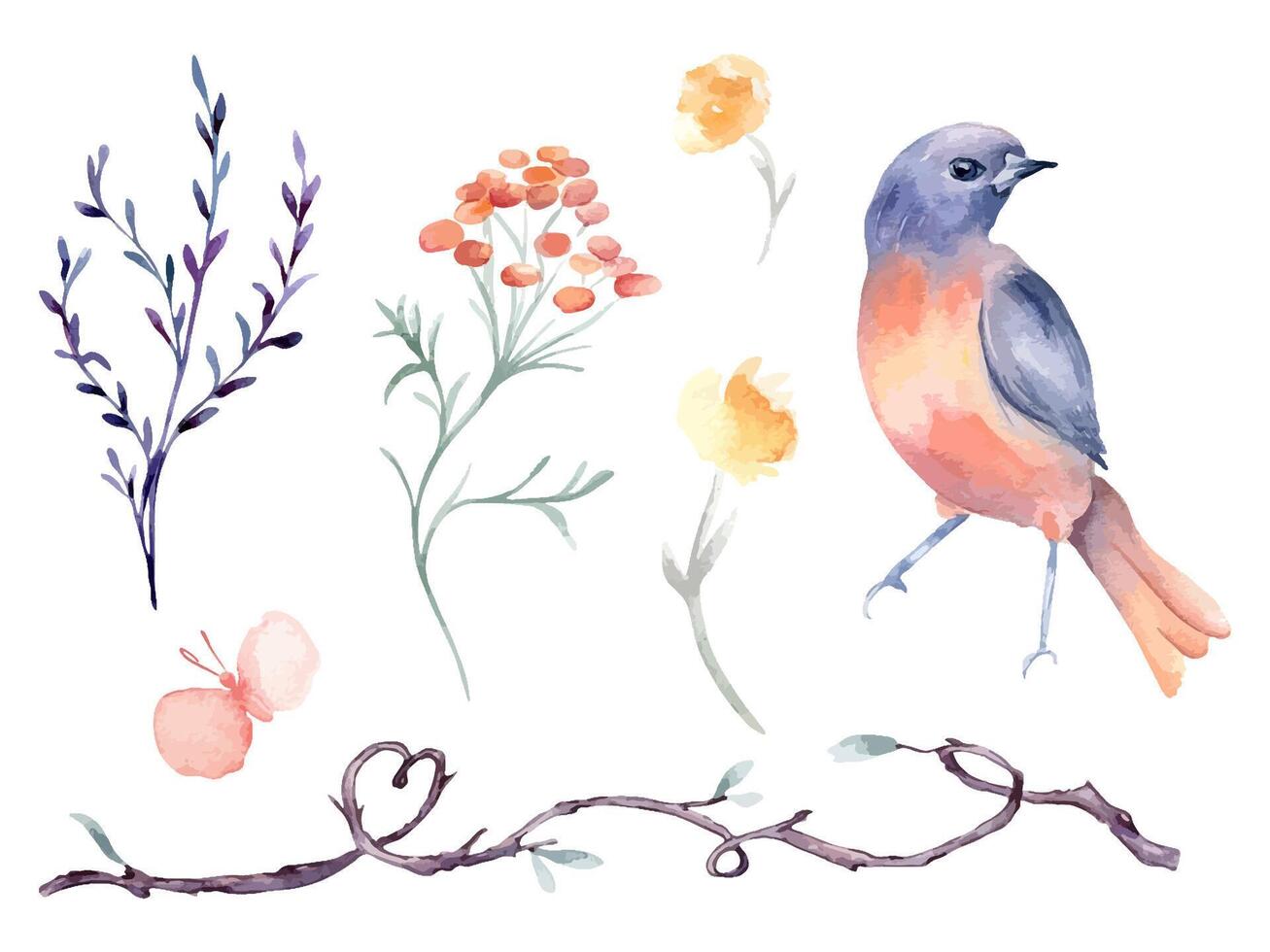Bird orange and purple, vine branch form heart hand drawn watercolor isolated set. Bluebird, butterfly with flower and twig in botanical sketch hand drawn. Floral elements and bird for Valentine. vector