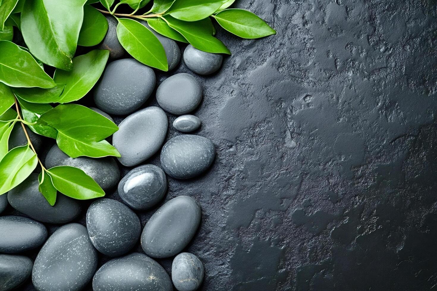 Green leaves touching grey spa stones on black background photo