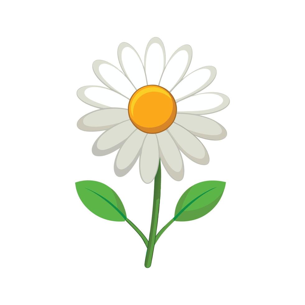 A daisy with yellow center on a white background vector