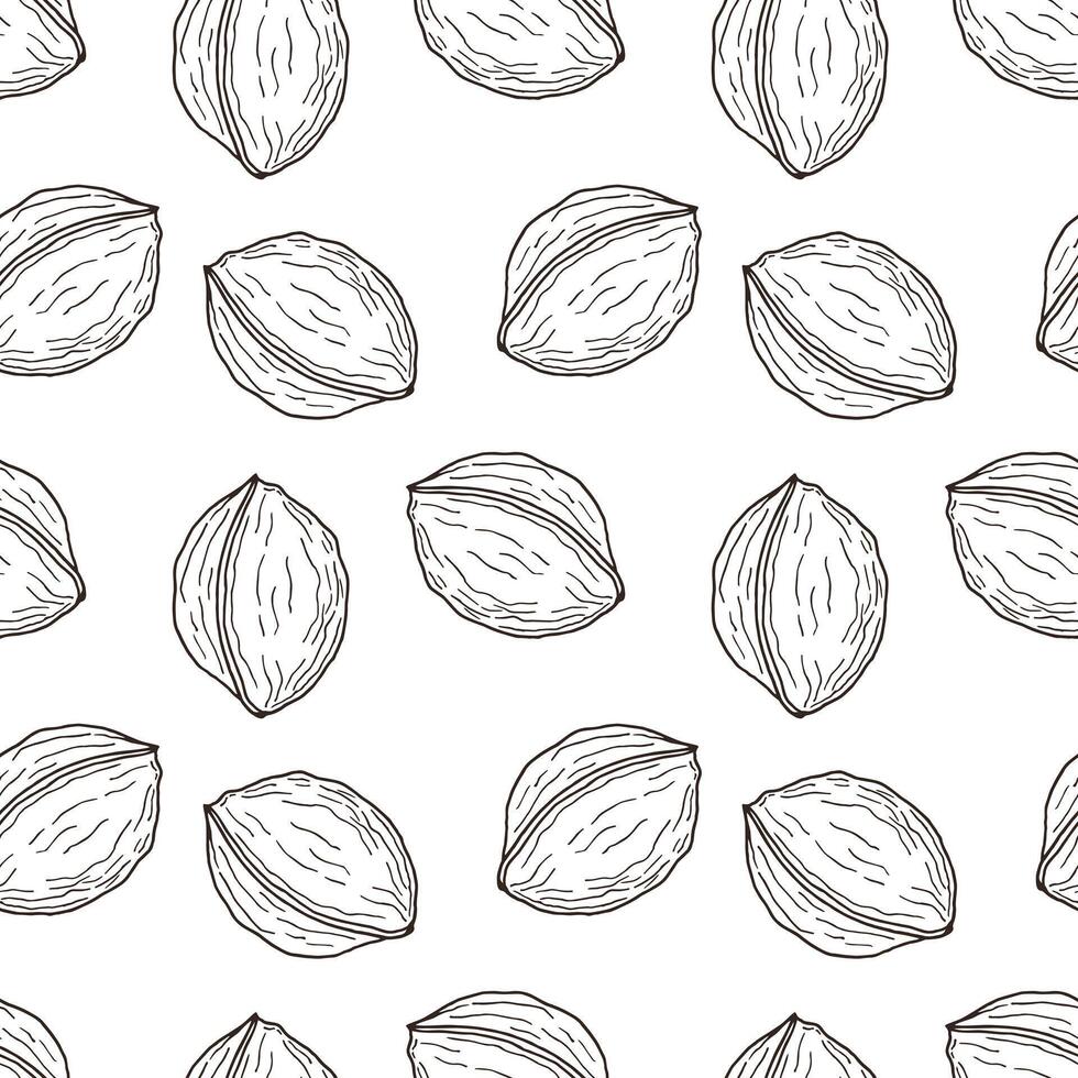 Walnuts pattern, healthy eating concept, vegetarianism, nutritionology, nutrilogy, contour sketch, white background. vector